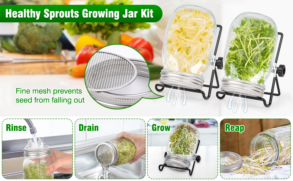 Mason Jar Germination Growing Kit