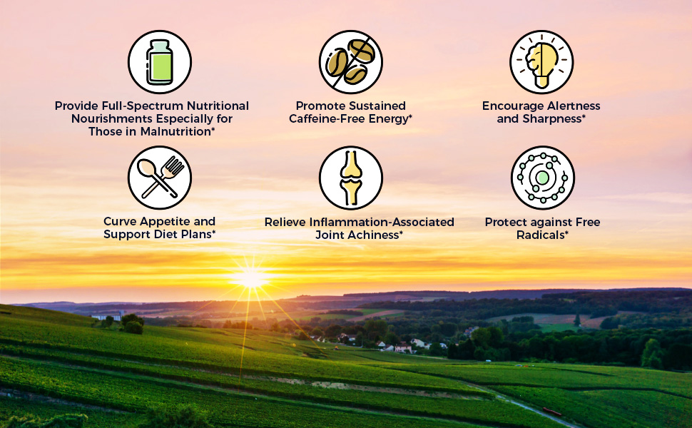 Vitalitown Moringa provides full-spectrum nutritional nourishments for those in malnutrition*