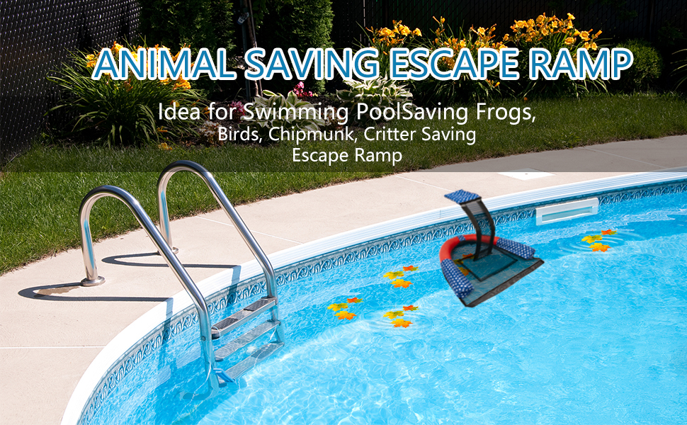 Animal Saving Escape Ramp with Pool Surface Skimmer Catcher