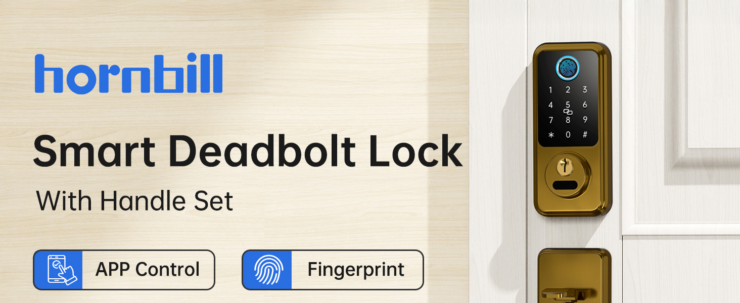 gold smart lock with handle