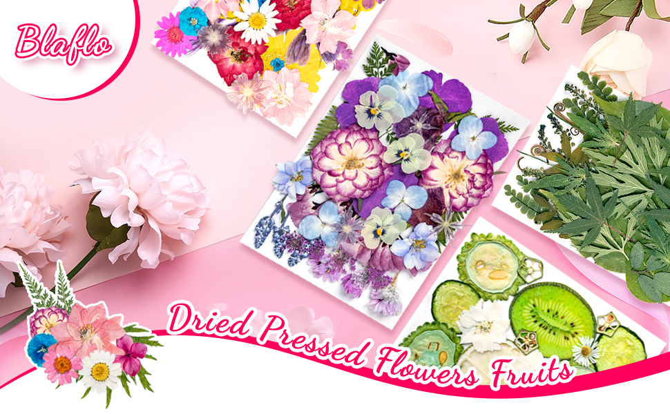 Bulk Dried Flowers For Resin Art & Cell Phone Case, Real Flowers, Natural  Combination, Diy Pressed Herbarium Flower F179 - Yahoo Shopping