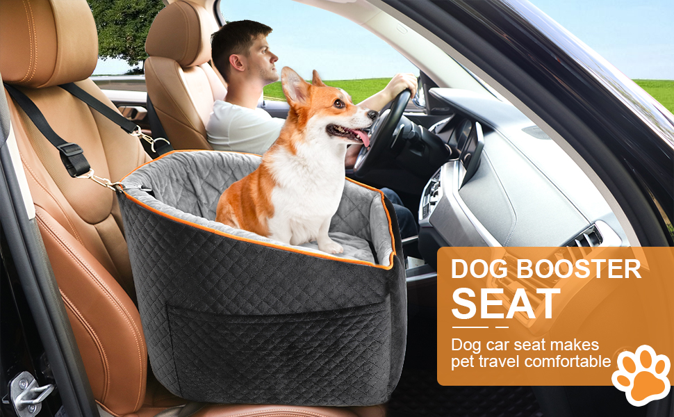 dog car seat