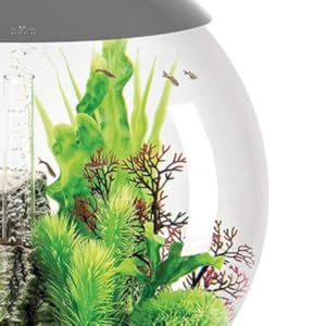 【箱入り】バイオーブ 水槽換えフィルター付き バイオーブ 水槽」の人気商品一覧 | 安い商品を通販サイトから