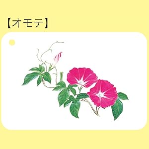 [美品] 公文図鑑カードシリーズ 19種セット くもんのカード | KUMON SHOP