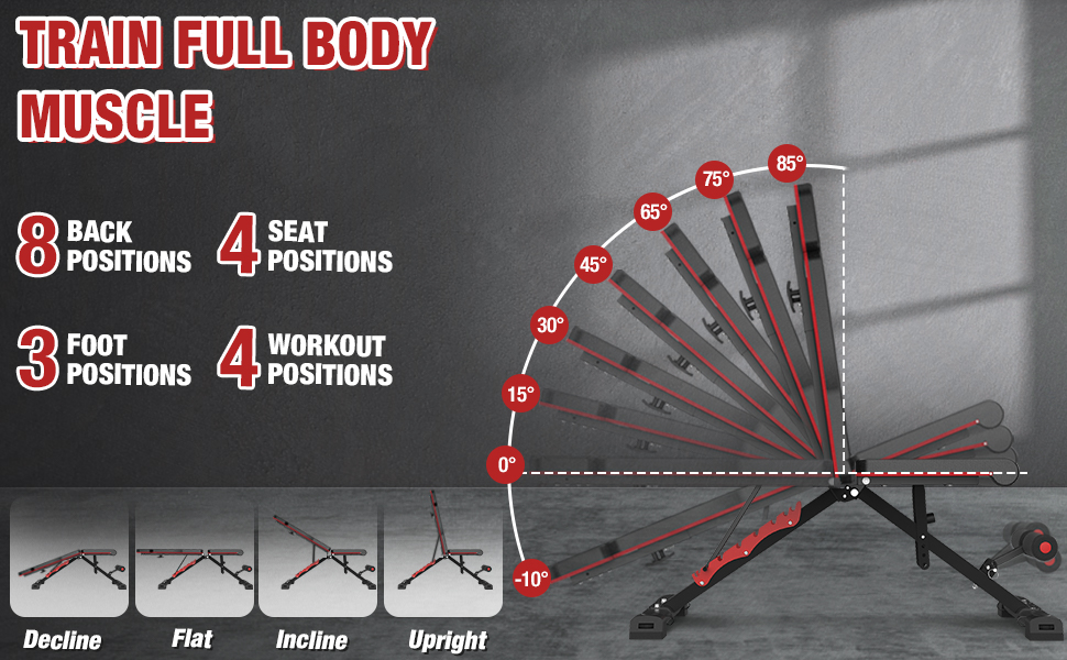 Bench Press for Full Body Workout Sports & Outdoors