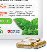 mealzyme digestive enzymes