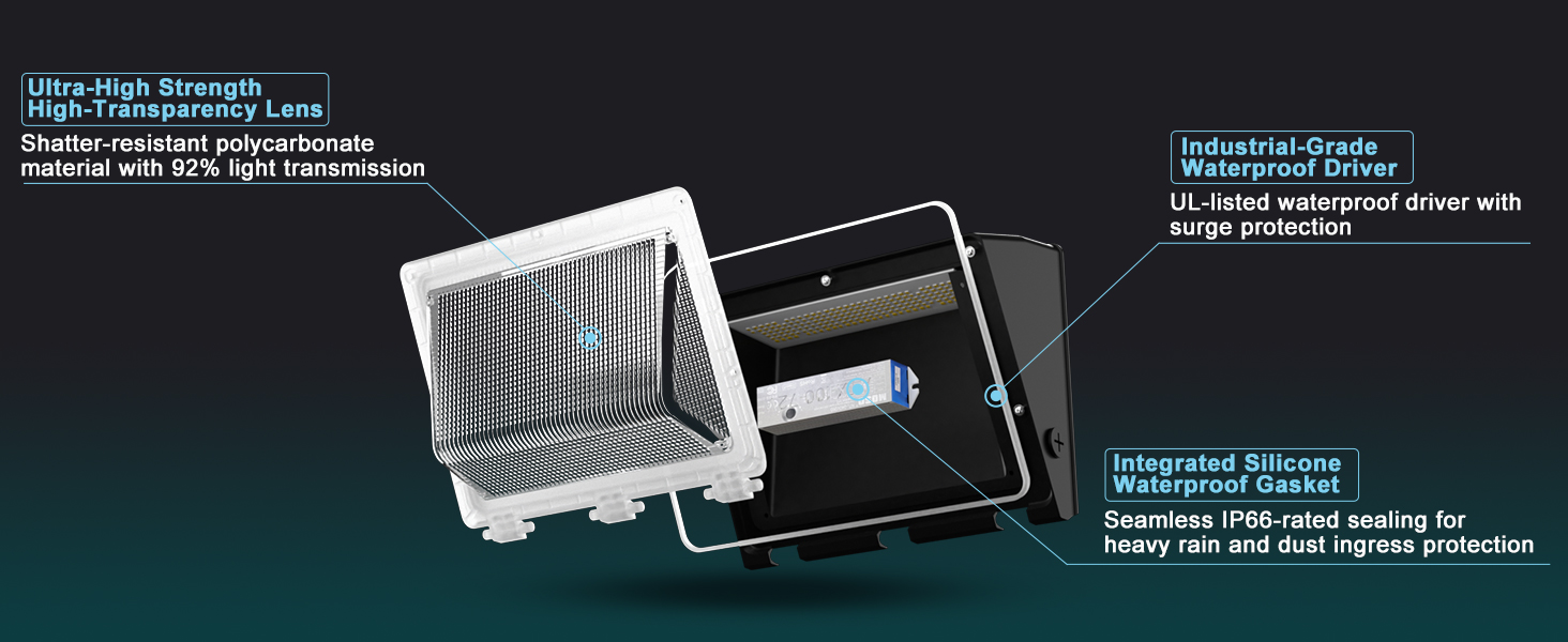 LED Wall Pack Light