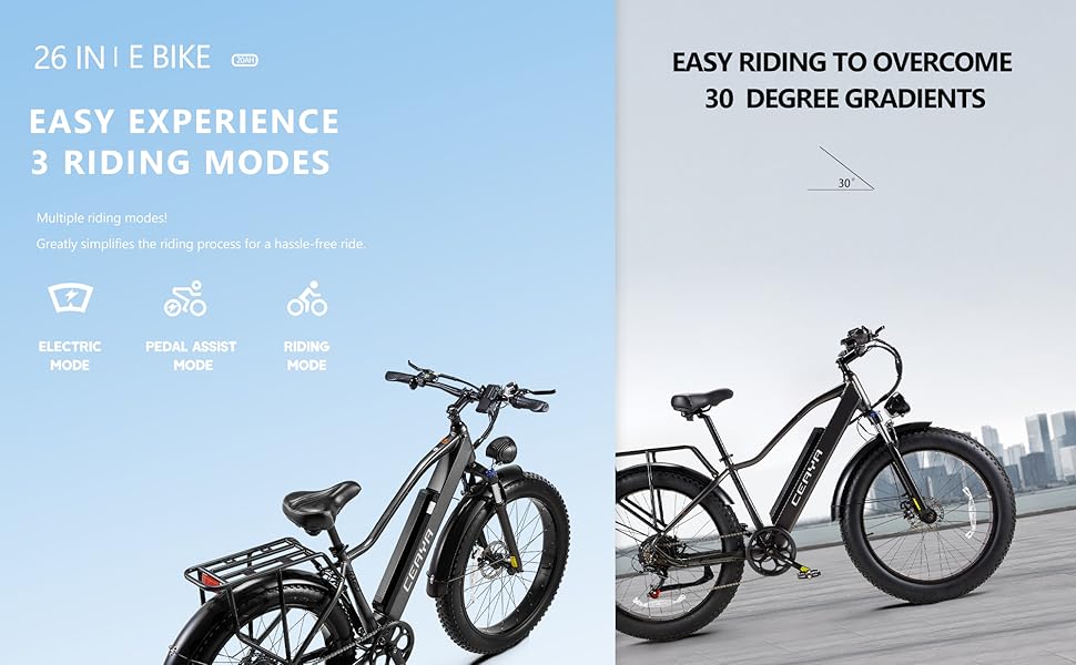 Electric bike