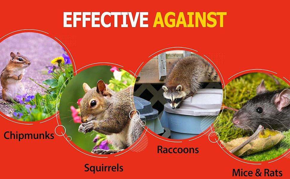 Nature’s MACE 40oz Concentrate Squirrel Repellent,Covers 28,000 Sq Ft, Squirrel