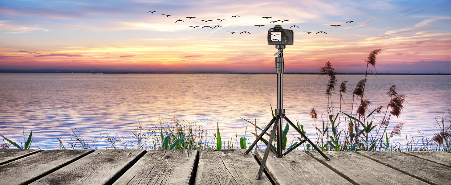 UBeesize 67'' Phone Tripod Stand & Selfie Stick Tripod, All