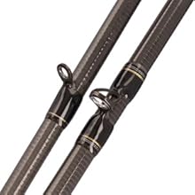 Amazon | ダイワ(DAIWA) アユイングロッド AYUING EX 99MLS-SMT