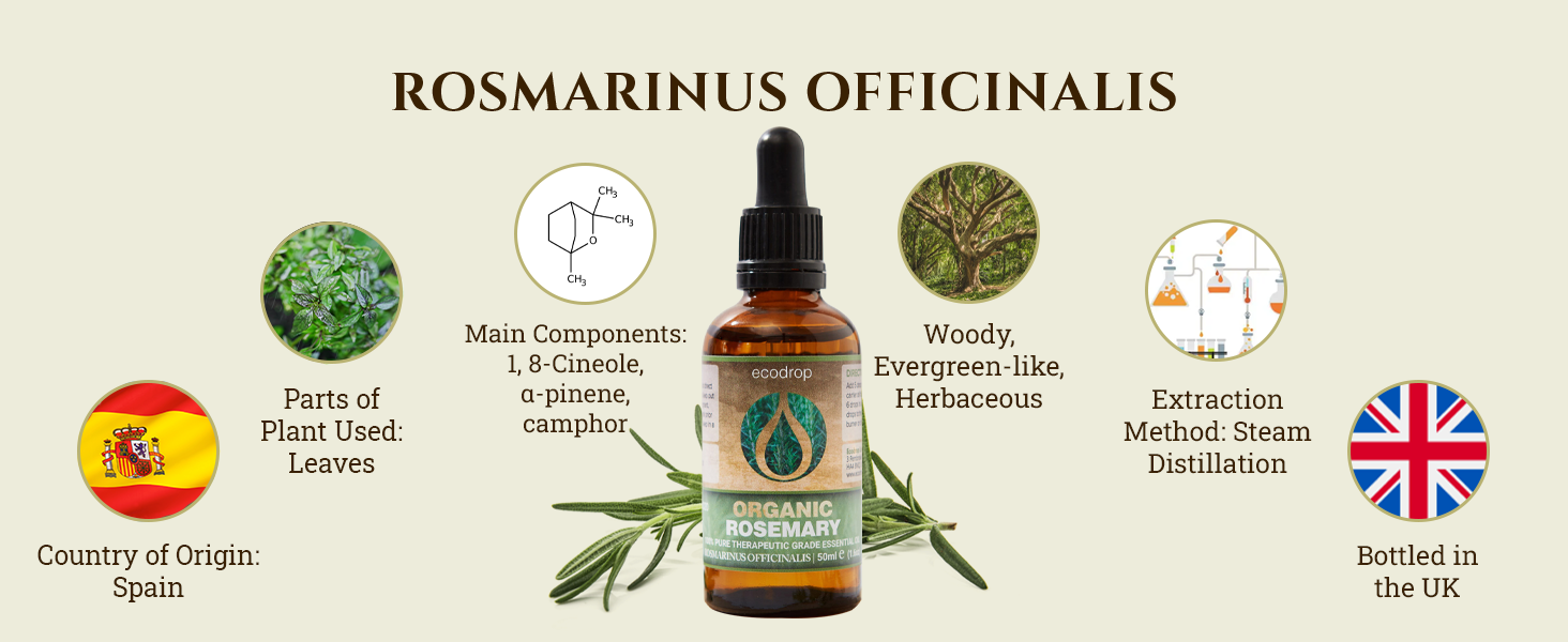 Rosemary Essential Oil Cosmos Certified Organic 100% Pure Spanish Therapeutic Grade for Aromatherapy