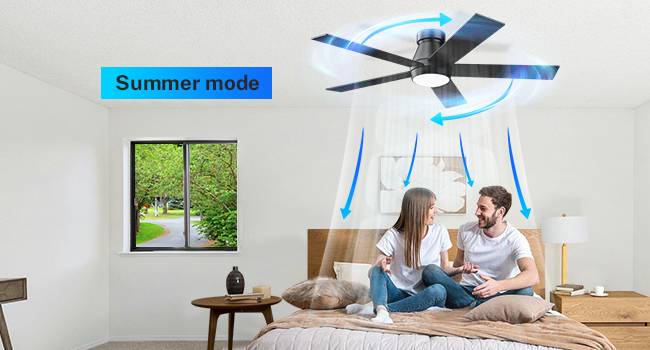 TCL 52&#34; Ceiling Fan with Lights, Black Flush Mount Ceiling Fans