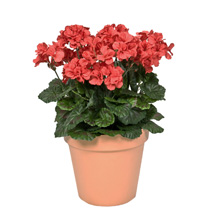 Small manufacture image 8