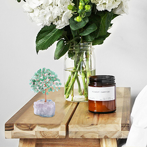 crystals stones feng shui money tree home decor gifts 