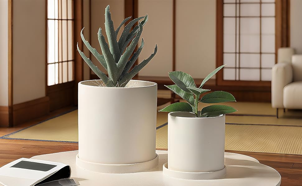 Amazon.co.jp: 【植木鉢 陶器鉢 φ18cm（6号）】テラコッタ風