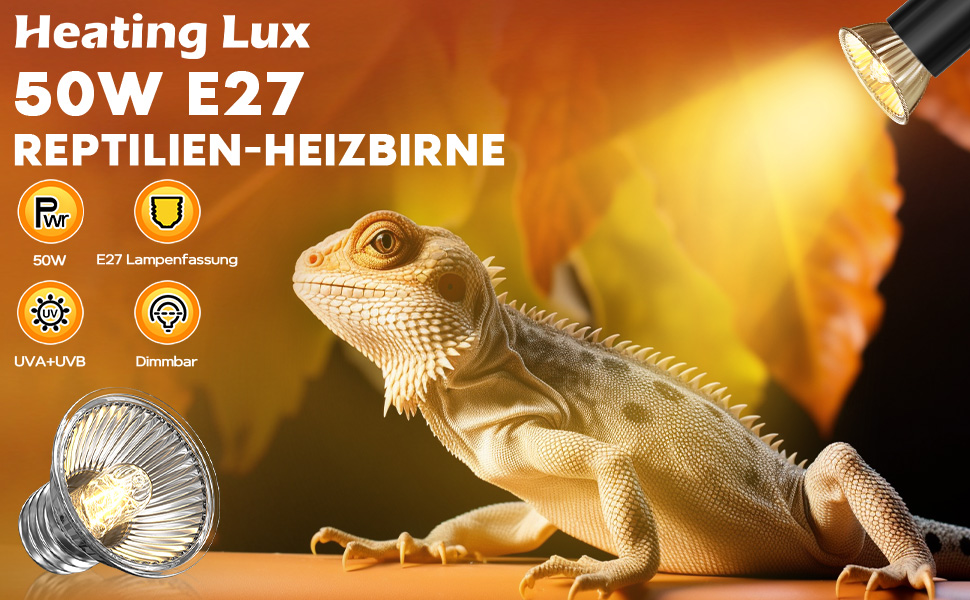 Heizung Lux E27 Wärmelampe für Reptilien, 50 W Das bild bild zeige Das produkt im Gebauch und Beleidetet Einen Bartagamen. Zu den Merkmalen Gehanis uva+UVB-Emission