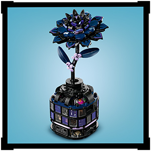 76784_الأربعاء