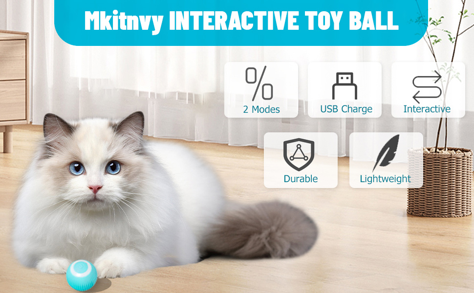 Der interaktive Spielzeugball der Katze