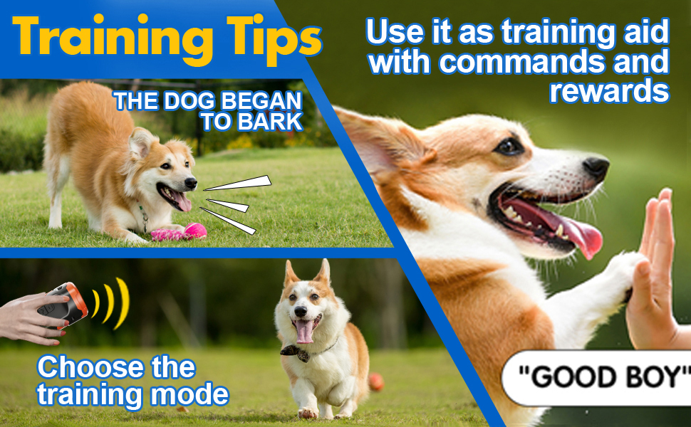 Anyuainiya Dog Bark Deterrent Devices 2024release, Professional Anti