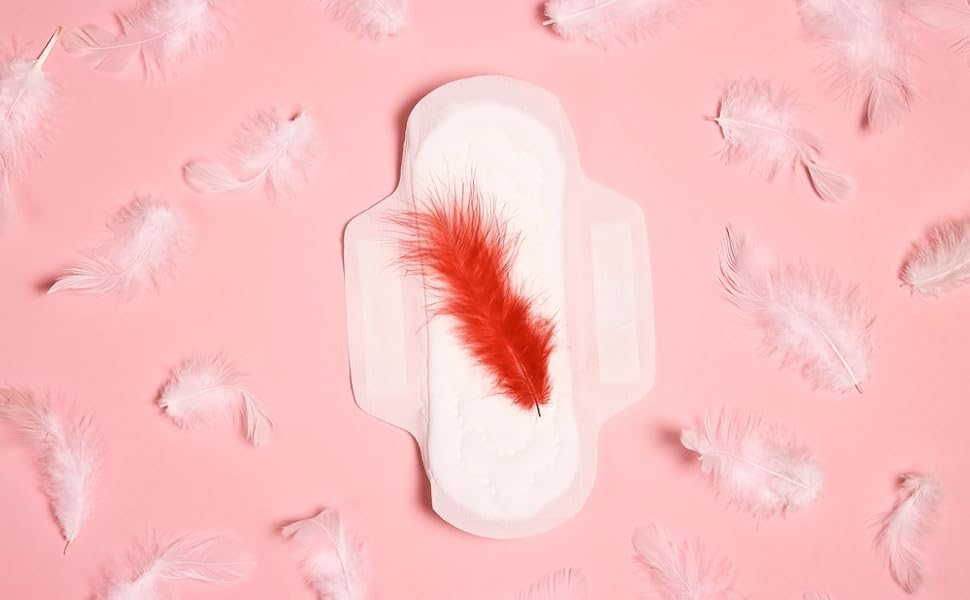 bulk sanitary napkins for homeless 100 pack wings, bulk sanitary pads with wings