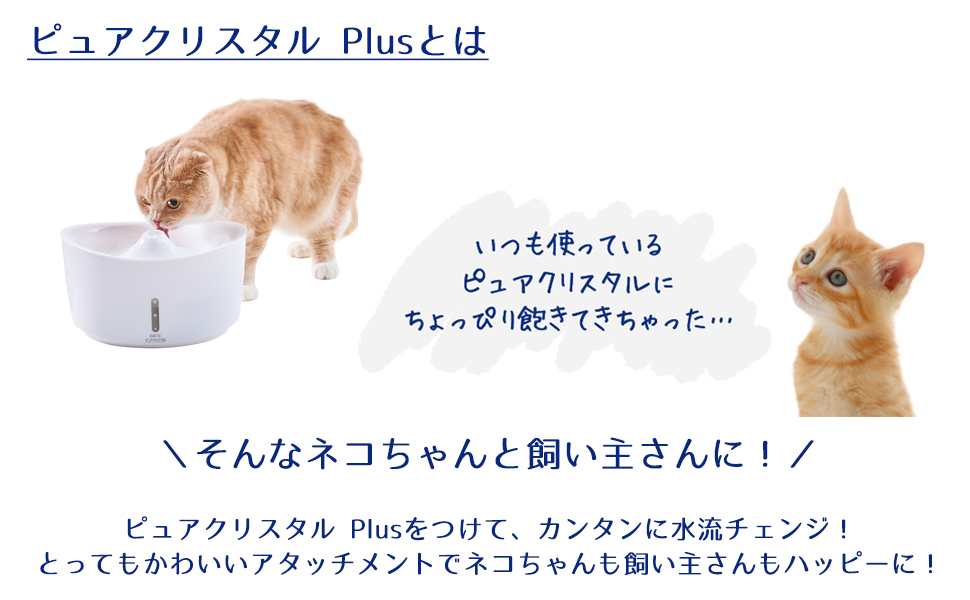 Amazon | ジェックス ピュアクリスタル プラス ビスケット