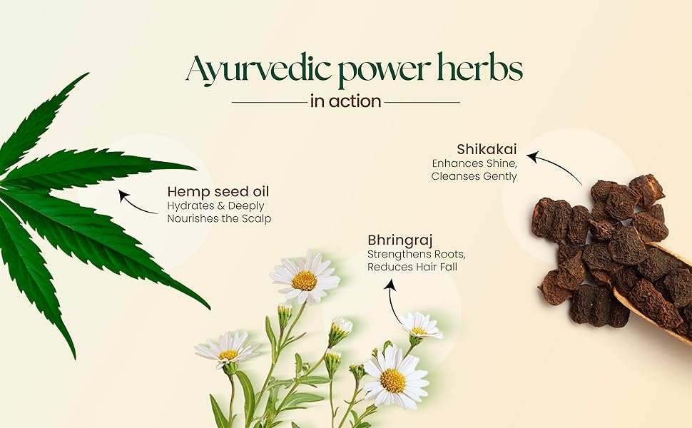 Shikakai & Bhringraj Shampoo 200ml - Ingredients