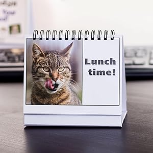 Funny Office Gift For Cat Lovers, Cat Moodycards on a Desk