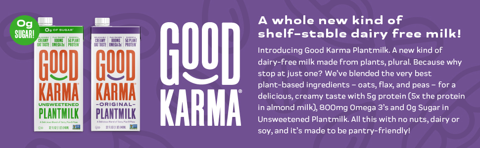 Good Karma Plantmilk- A Whole New Kind of Shelf-Stable Dairy Free Milk!