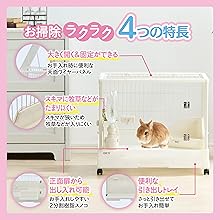Amazon.co.jp: ジェックス GEX クリアフロント60 クリアな