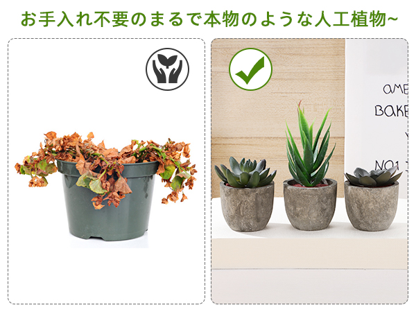 多肉植物のオルゴナイト3点セット【グリーンアベンチュリンAタイプ】 多肉植物のオルゴナイト3点セット【グリーンアベンチュリンA