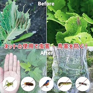 ネット　５ｍ×３ｍ 楽天市場】防虫ネット3m×5mの通販