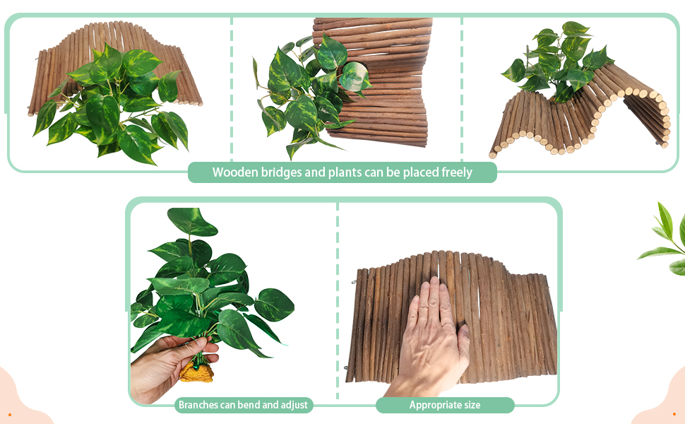 Bearded Dragon Tank Accessories Large