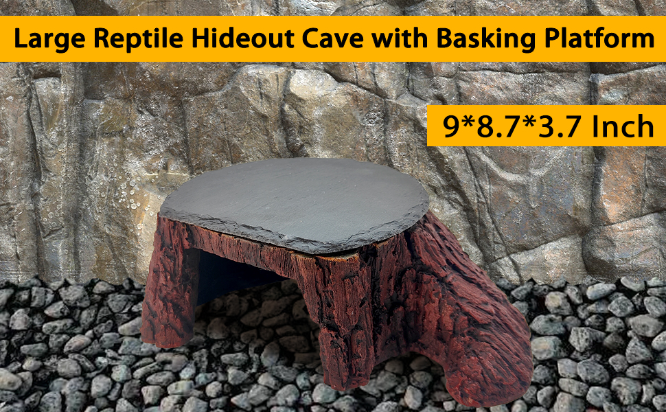 Breaded Dragon Reptile Basking Platfrom