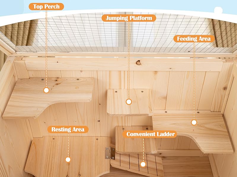 Text reads 'Multi-Ladder Activity Areas'. Interior view of wooden room with labeled activity zones and climbing elements, showing recreational facility layout.