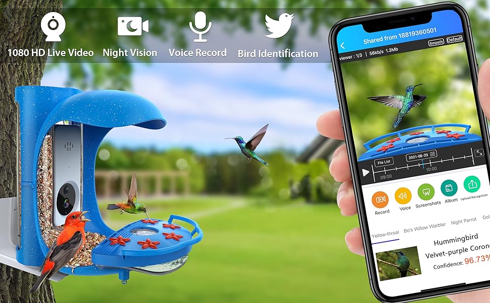 BirdDock Hummingbird Feeder with Camera, Smart Bird Feeder