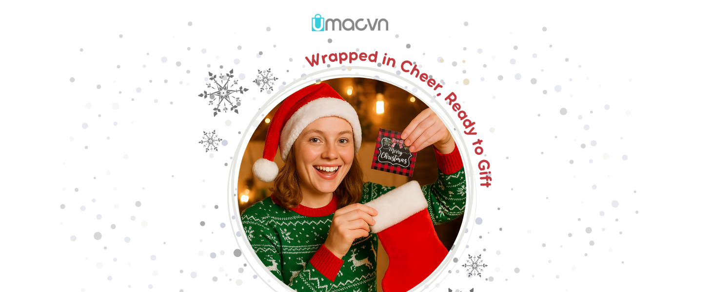 christmas ornament 2025