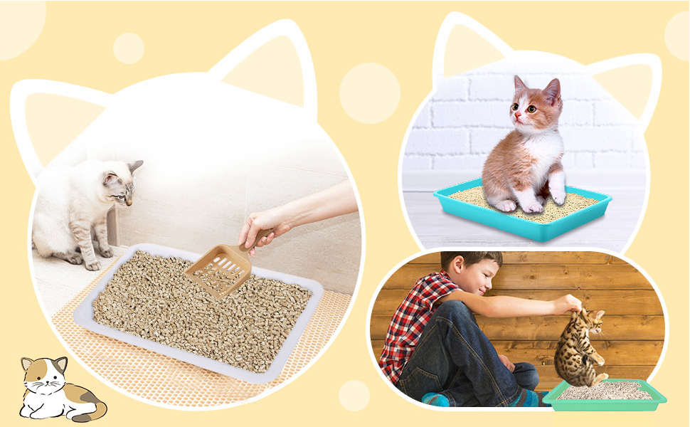 10 Pcs Small Litter Box for Kittens,Plastic Portable Small