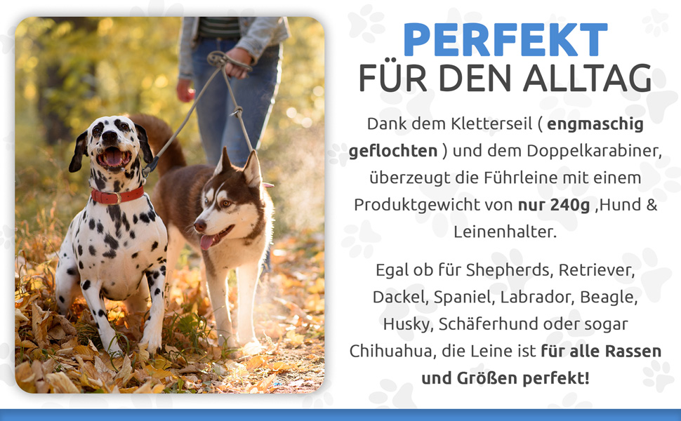 Einsatzmöglichkeiten Hundeleine für große Hunde
