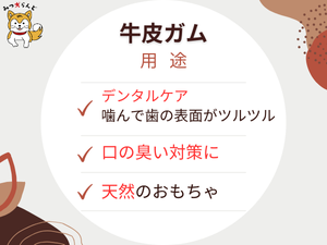 Amazon.co.jp: 【初トライ応援／賞味期限保証あり】みつ犬らんど