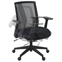 Amazon.com: Romig Squire Ergonomic Mesh Office Chair with
