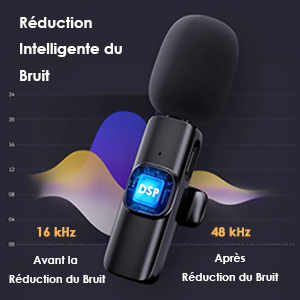Réduction Intelligente du Bruit DSP