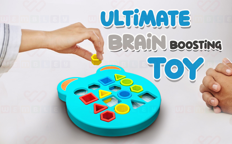 Wembley Shape Sorter Matching Board Game