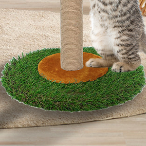 cat scratching post with a cat scratching post