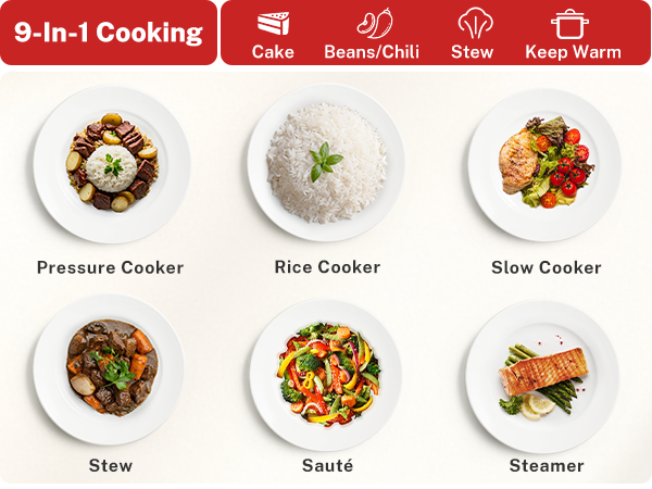 9 in 1 multi electric pressure cooker