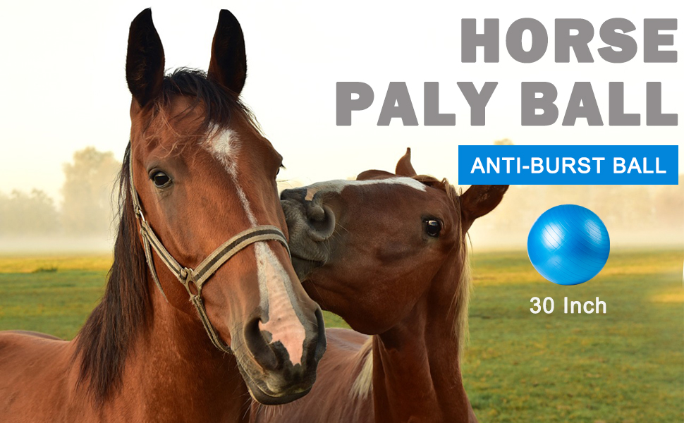 capuca Large Horse Balls for Play 30 Inch AntiBurst Mega