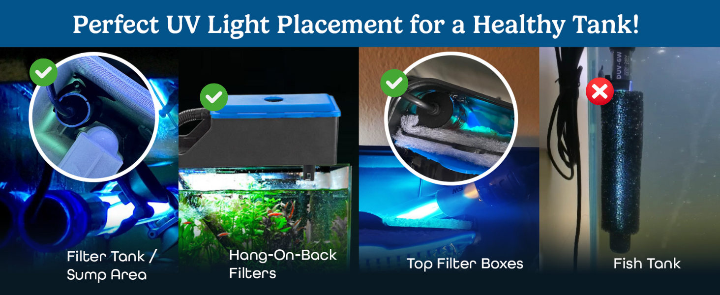 uv light for fish tank