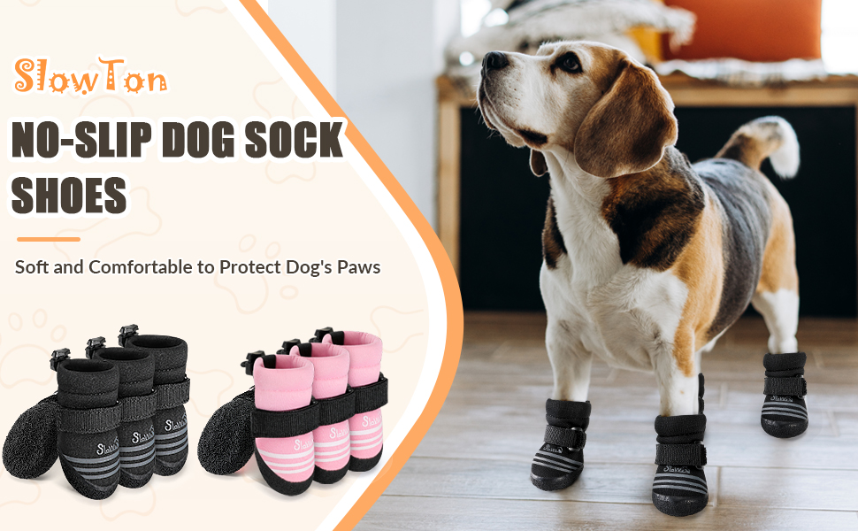 dog shoes
