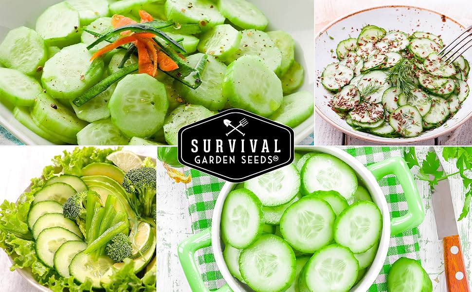 1 Pack Straight Eight Cucumber Seed for Planting Packet