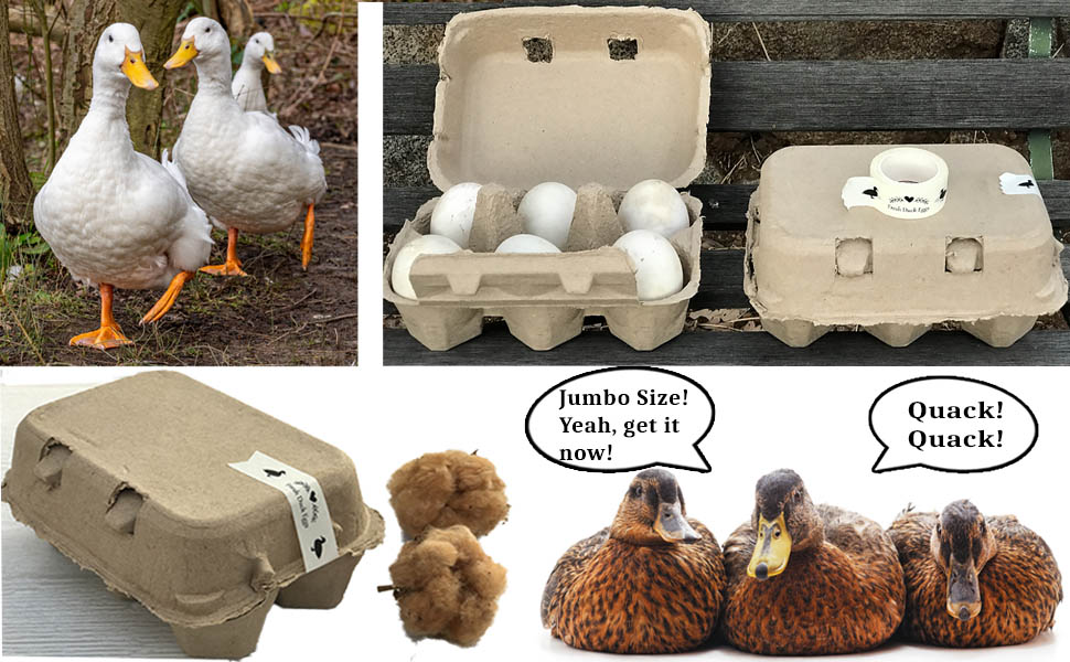 HEIDI & OLAV Extra Large Duck Egg Cartons Super Jumbo